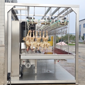 Línea de Sacrificio Avícola a Pequeña Escala para África, Máquina Automática de Matanza de Pollos de 500 Bph, Directo de Fábrica - Product Image 3