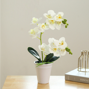 Phalaenopsis Kunstmatige Ingemaakte Kantoordecoratie Kleine Potfotografie Bonsai Groene Plant Decoratieve Potten - Product Image 2