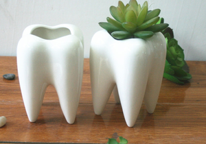 <span class=keywords><strong>Maceta</strong></span> <span class=keywords><strong>de</strong></span> Cerámica Blanca para Flores, Tipo <span class=keywords><strong>Maceta</strong></span> Dental - Product Image 5