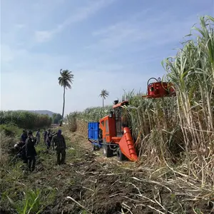Popular in Philippine sugar cane harvester/low price sugarcane cutting machine