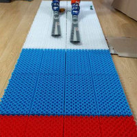 Tapis de ski synthétique en gros pour piste – Haute flexibilité, surface neigeuse portable pour installation facile, diverses tailles et couleurs