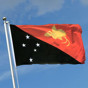 Bandera personalizada para todos los países, Bandera de poliéster 100%, 3x5 pies, envío rápido, venta al por mayor - Product Image 1