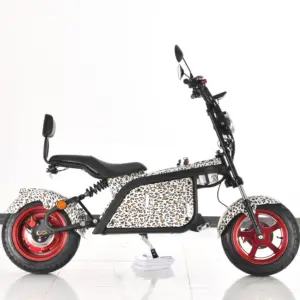 Stalen Frame Elektrische Scooters 1500W Citycoco E-Scooter Met 60V 12ah Verwijderbare Batterij 2 Wiel Elektro Scooter