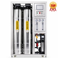 Machine de purification d'eau RO commerciale 1 T/H en acier inoxydable, équipement de traitement d'eau par osmose inverse industrielle OEM ODM