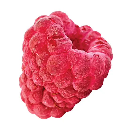 निर्जलित फल फ्रीज सूखे फल खाद्य रास्पबेरी Granules फ्रीज सूखे पूरे Raspberries के पाउडर फ्रीज-सूखे Raspberries के