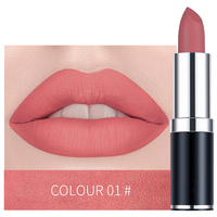Cosmétique En Gros Bullet Rouge À Lèvres Étanche Premium Humidité Brume Hydratant Baume À Lèvres Velours Mat Rouge À Lèvres