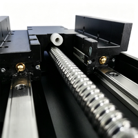 Module linéaire à vis à billes semi-fermé HTH17, actionneur linéaire haute précision, table coulissante pour automatisation CNC