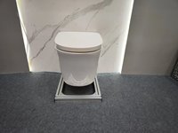 2025 populaire monotrou tornade mur accroché toilette laver P piège toilette Europe chaude céramique murale toilette