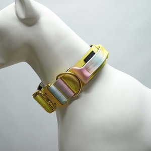 Premium Luxury Rainbow Tactical <b>Dog</b> <b>Collar</b> Padded Nylon Print Gold Metal Buckle Heavy Duty Comfortable Pet Gear - Product Image 4