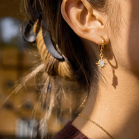 Pendientes de Aro Colgantes de Acero Inoxidable al por Mayor, Antideslustre, Impermeables, con Diseño de Sol y Piedra Lunar Dorada para Mujer
