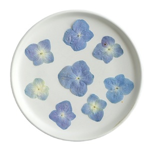 Hydrangea bleu naturel, fournitures pour la création de cartes, bijoux en résine, plante naturelle, fleur pressée véritable, écologique - Product Image 1