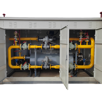 Armoire de station de décompression et de dosage de GNC résistante aux intempéries, certification ATEX/CE, débit haute capacité pour brûleur à gaz de chaudière extérieure