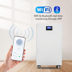 Loại gắn lithuim pin 48V 300ah 15kwh 100Ah 200AH 314ah 5kwh 10kwh powerwall hệ thống nhà di động 51.2V LiFePO4 Pin - Product Image 3