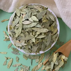 Wholesale Bulk Dried Senna Leaves Slimming Tea High Quality Senna Leaf Herb Tea