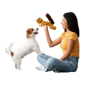 批发定制私人标签宠物咀嚼玩具2023新设计生动可爱松鼠狮子互动吱吱狗玩具