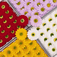 Aierflorist Bunga Gerbera Daisy Sabun yang Terkenal di Internet, Bunga Palsu Abadi, Toko Bunga Daisy Kecil