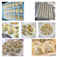 Machine à faire des raviolis entièrement automatique en acier inoxydable avec commande par servomoteur pour les petites entreprises
