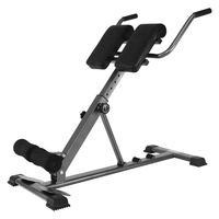 Banc d'entraînement abdominal commercial multifonctionnel réglable Banc d'équipement de fitness Chaise romaine