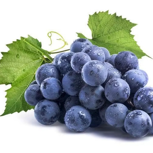 Raisins frais <span class=keywords><strong>de</strong></span> haute qualité Red Globe Crimson Grapes - Product Image 1