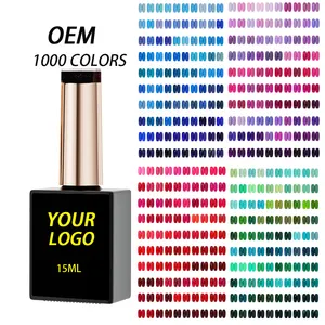 1000 Colors Nail Supplies New arrival fall winter Seasonal gel polish collection set box OEM Private brand Gel nail polish