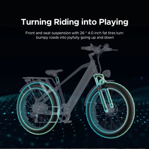 Bicicleta Eléctrica de Montaña con Motor Trasero de 250W, Cuadro de Aluminio, Batería de Litio de 48V16Ah, 26 Pulgadas, Todoterreno, ENGWE E26 - Product Image 3