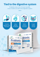 Poudre Probiotique Nettoyante Colon Winstown OEM Certifiée HACCP 3g – Complément Beauté Instantané pour l'Éclat de la Peau – Boîte pour Adultes