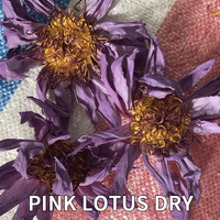 Fleur de Lotus de neuf qualités fleur de Lotus fleur bleue fleurs séchées thé infusé cuisson à basse température arôme riche nénuphar égyptien