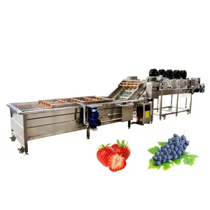 Automatische Maschine zur Herstellung von gefrorenem Obst und Gemüse iqf Obst Gemüse Verarbeitung maschinen Maschinen Gefrier maschinen