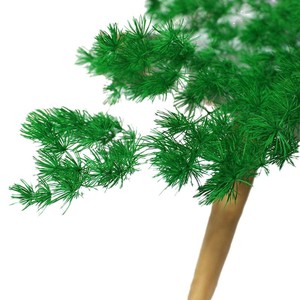 Feuille de Pougéa de Penglai de haute qualité, naturelle et préservée, pour la décoration intérieure et les arrangements floraux festifs - Product Image 6