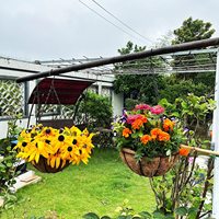 Oneup — panier suspendu avec revêtement coco, 12 pouces, avec fermeture en métal, porte-plantes à fil rond, avec chaîne, pour décor