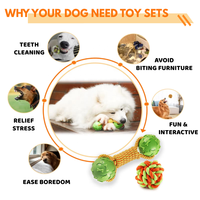 Ensemble de plus de 100 jouets pour chien en corde de coton variés, 3 à 25 paquets, jouets interactifs à mâcher pour chiots