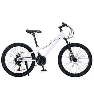 Bicicletta da Montagna in Acciaio al Carbonio a 21 Velocità con Forcella Ammortizzata, Freni a Disco, Telaio Verniciato UV, Cerchi in Lega, Pneumatici 2.35 - Sud-Est Asiatico - Product Image 3