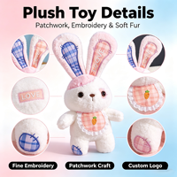 Peluche Lapin Personnalisable avec Bouton, Poupée Confort Lapin Rembourrée pour Filles, Cadeau d'Anniversaire pour Enfants