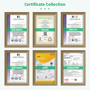 Tablet Penambah Berat Badan Dewasa Label Pribadi Ekstrak Herbal Bersertifikat Halal Meningkatkan Nafsu Makan & Kalori - Product Image 6