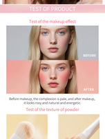 Palette de fards à joues pressés rose clair, ultra-lumineux, doux, glamour, minéral, végétalien, en forme carrée dorée, avec logo personnalisé, pour carnations claires