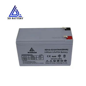 Bms Lifepo4 12V 9ah Nimh Batterij Nimh Batterij Voor Upsbattery Auto Jacht Party