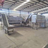 Ligne de production automatique professionnelle de chips de banane et de plantain avec mélangeur et friteuse, capacité de 50 à 100 kg/h
