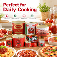 Ketchup en conserve de marque privée d'usine, pur à 100% et à haute teneur en Brix (28%), en bouteilles et en boîtes pour le marché ghanéen, 70g*50 cartons