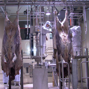 Automatic Cattle Hide Skinning <span class=keywords><strong>Machine</strong></span> Puxando e remoção equipamentos para restaurante e abate Industries - Product Image 5