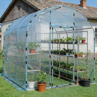 Serre tunnel en plastique PE 300x300x200 professionnelle de Chine, écologique, pour jardin, avec structure métallique traitée sous pression