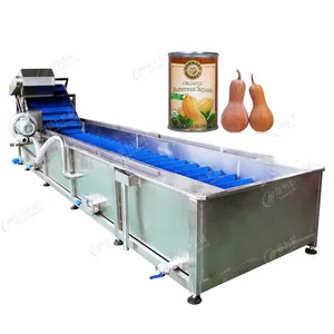 Leadworld High Quality Automatic Bubble 800kg Fruit And Vegetable Apricot Washing Equipment Cleaning Machine Line