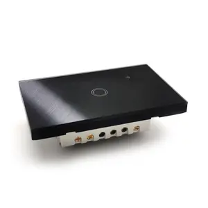 Qualité Durable 2x4 boîtes module Tuya application domestique 1 bouton US lampe tactile commutateur wifi