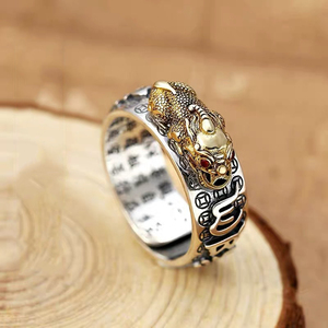 Anillos de plata antigua SC 2023 para hombres, Toad de amor, salud, riqueza, Domineering, 10mm, doble protección, Feng Shui, Mantra Pixiu - Product Image 5