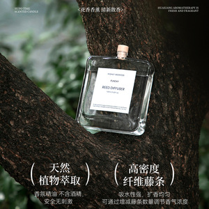 Funday <b>Reed</b> <b>Diffuser</b> 100ml True Scents Highly Scented Home Fragrance - Product Image 3