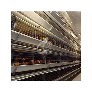 Layer Chicken Layer Cage Manufacturers China Ordinary Type Laying Coop OEM Custom Egg Layer Chicken Cages For 5000 Birds
