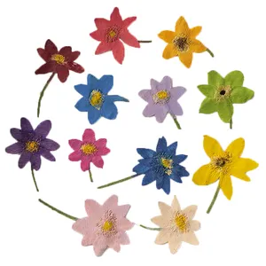 Daun bunga padat kering asli alami bunga Bono ditekan warna-warni dekorasi lilin DIY perhiasan Resin liontin