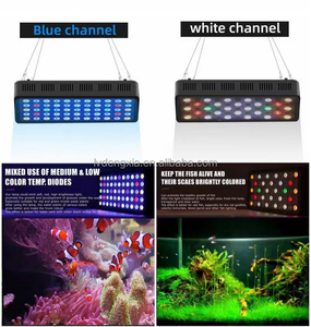 Nouveau produit chinois Mini <span class=keywords><strong>lampe</strong></span> <span class=keywords><strong>LED</strong></span> pour <span class=keywords><strong>aquarium</strong></span> à gradation haute stabilité pour la croissance des coraux en <span class=keywords><strong>eau</strong></span> <span class=keywords><strong>de</strong></span> <span class=keywords><strong>mer</strong></span> 165W - Product Image 3