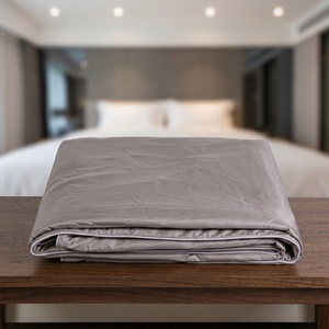 Couette légère et respirante de qualité hôtelière, lavable, gris argenté, rafraîchissante, pour l'été, idéale pour les achats B2B - Product Image 1