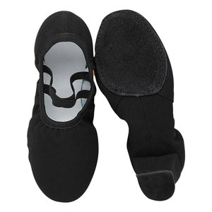 Zapatos de <span class=keywords><strong>Ballet</strong></span> Latino suaves resistentes al desgaste para adultos para profesores para mujeres en forma de sala de clase de baile corporal - Product Image 3