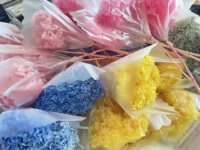 HFlora diawetkan Anna Hydrangea kepala bunga kering alami yang diawetkan untuk dekorasi